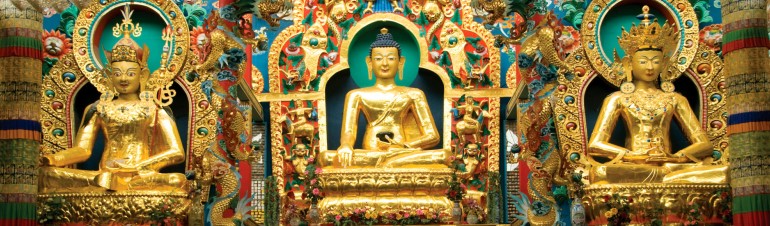 crownpalaceresortcoorg