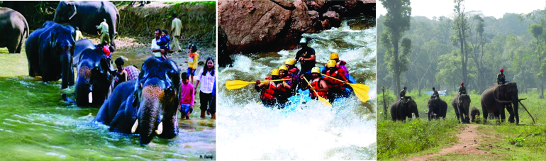 crownpalaceresortcoorg